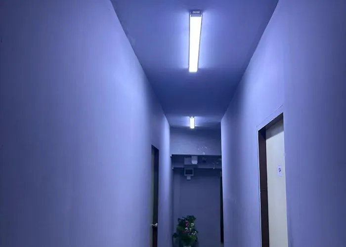 Hostel Y&dhostel